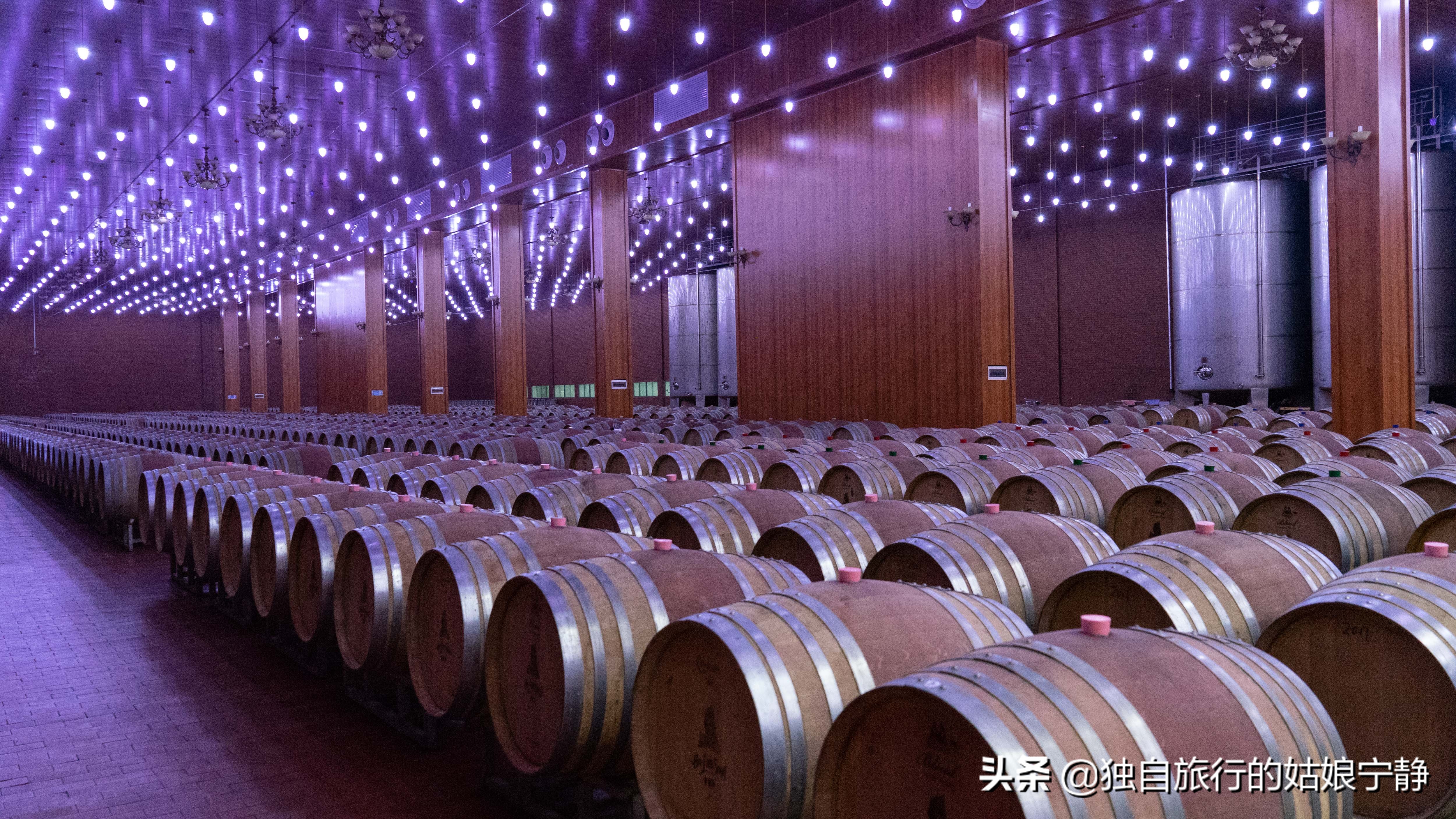 宁夏贺兰山东麓葡萄酒酒庄排名,宁夏十大顶级葡萄酒