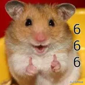 看完小奶狗和直男在恋爱中不同的说话模式,我选择单身?