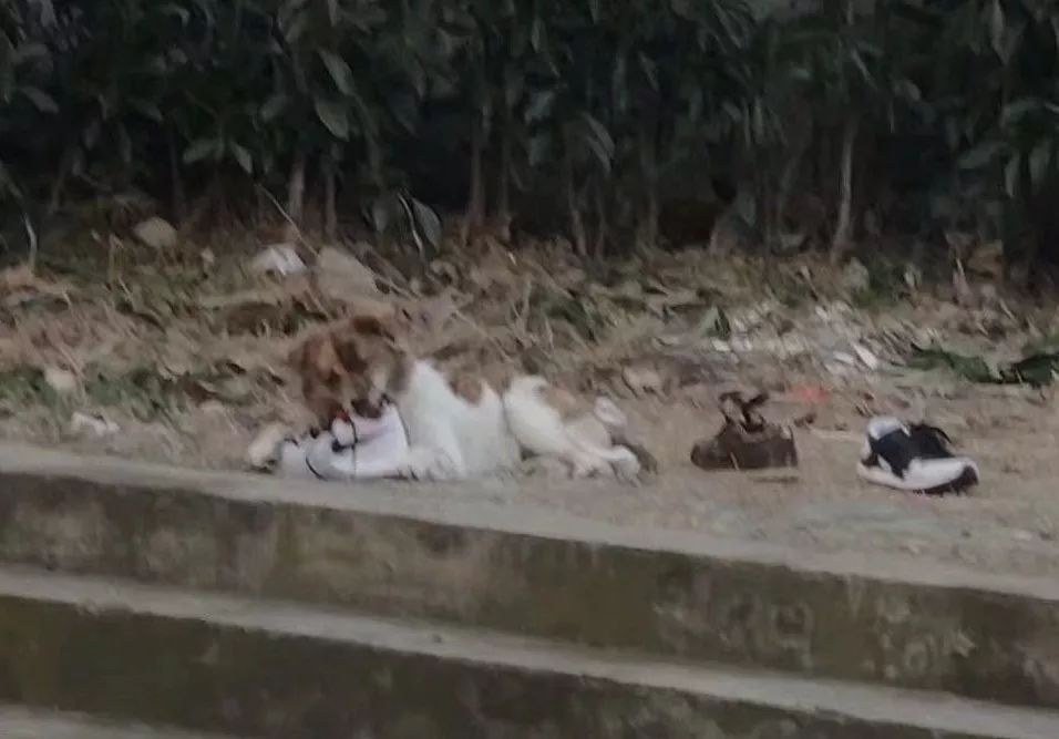 闉嬪瓙琚滃瓙琚埆浜哄伔,闉嬪瓙琚滃瓙琚伔