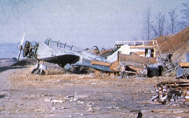 朝鲜战场金刚山战役,少数派报告中国