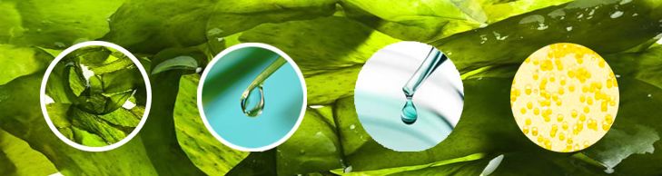 hb年终盛典,奥杰尼胶原蛋白润唇膏