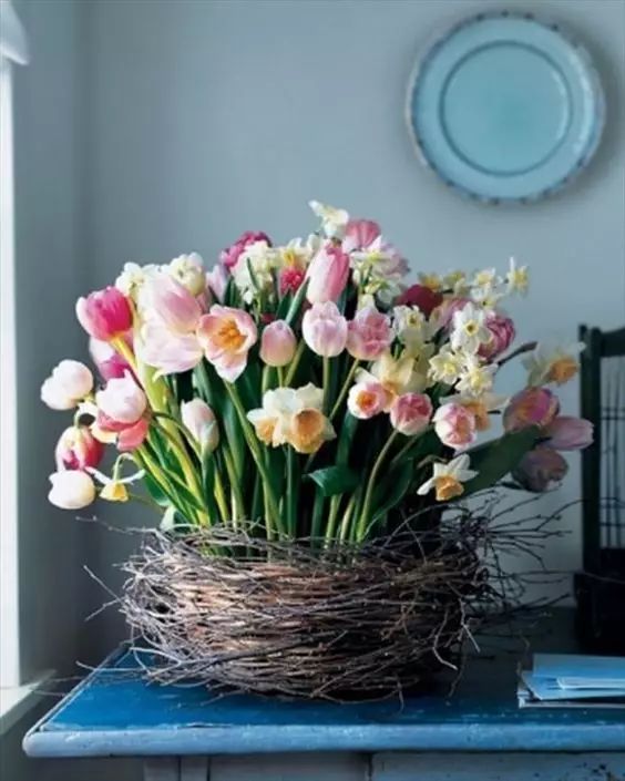 教你怎么学插花,小白零基础怎么学插花