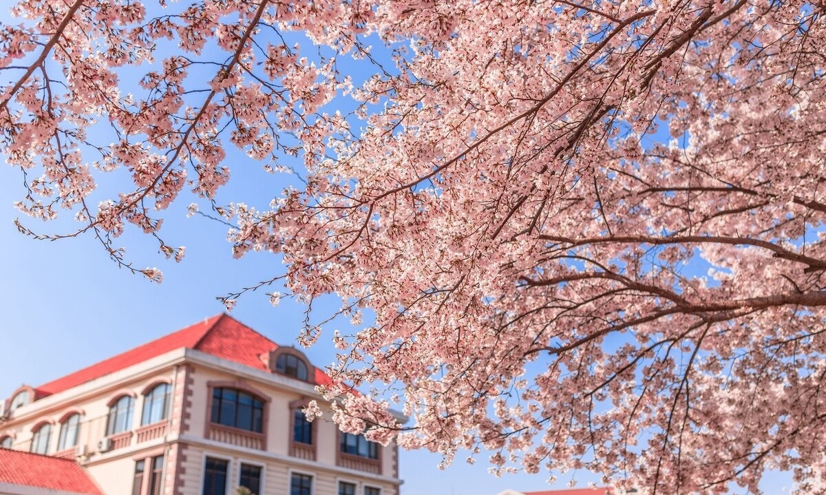 山东省属重点大学有哪些,山东不错的4所专科院校