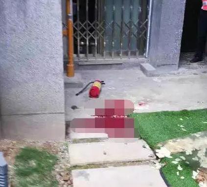 一女子高空抛物后续,一女子持续高空抛物后续