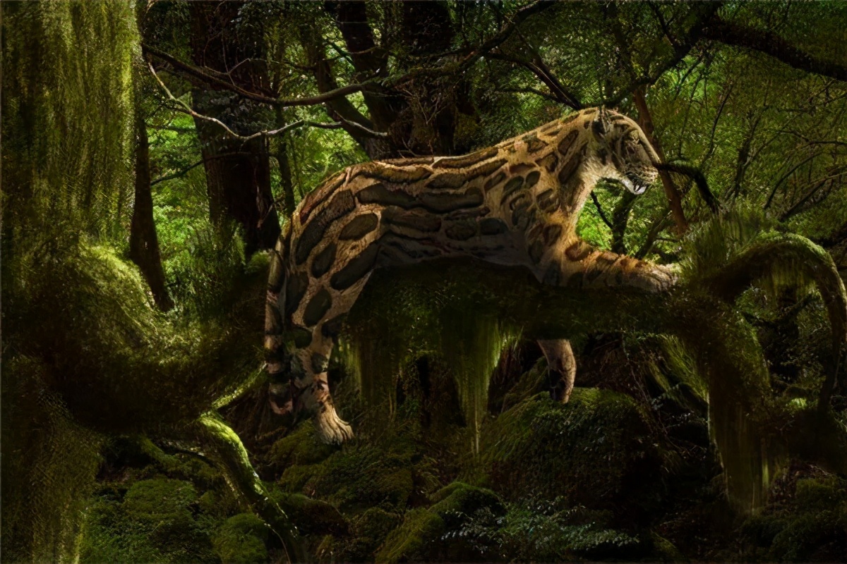 史前恐猫有多强,史前恐猫有多强大