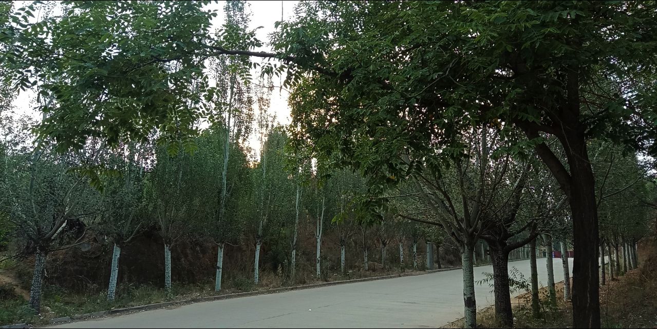 焦躁状态怎么缓解,如果感觉心里不踏实应该怎么办