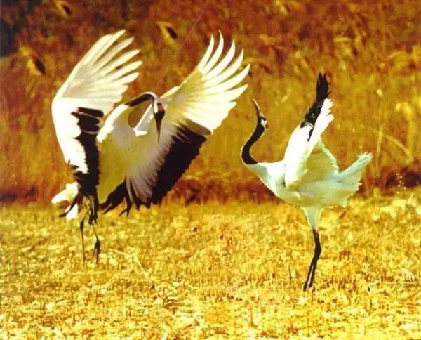 辽宁旅游景点推荐3天自由行,辽宁学生旅游景点推荐