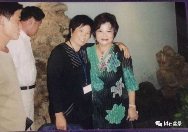 金艳盆景精品欣赏,幸得一知己