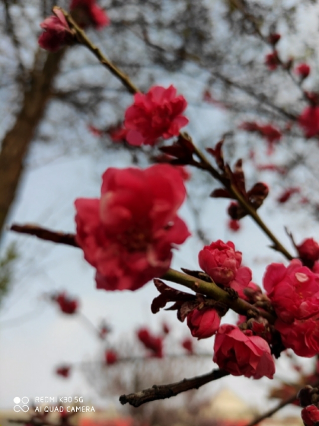 当你在意别人的话时你就输了,自己会在乎别人说的每句话