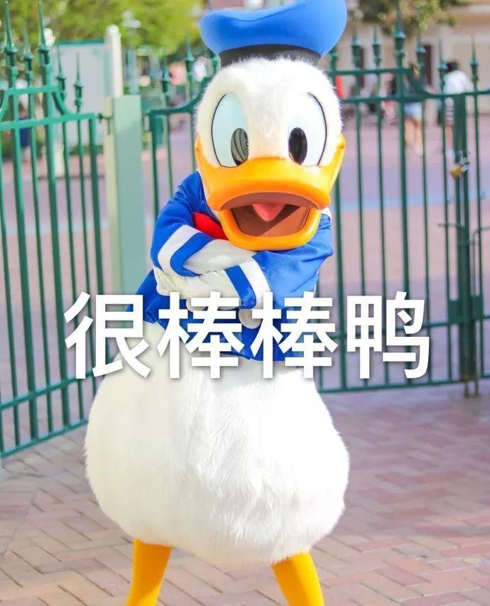 大牌平价护肤品必入单品,大牌和平价护肤品真的不一样吗