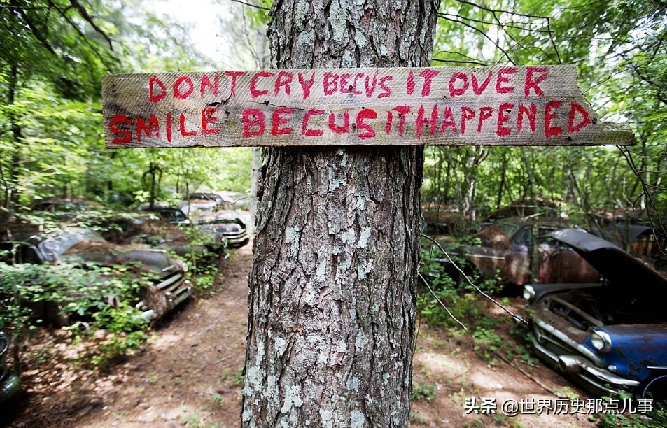世界上最大汽车博物馆,全球最大的汽车博物馆