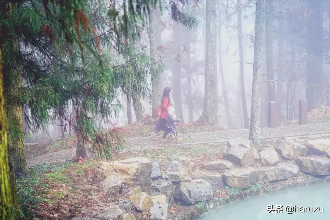 南方也能下雪吗,南方也能见到雪