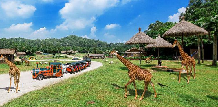 广州五一各大景区现状,广州五一有什么景点