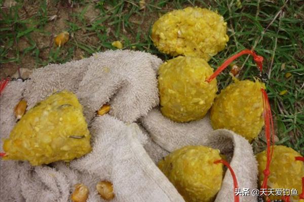 野钓海竿爆炸钩钓草鱼用什么料,海竿爆炸钩钓草鱼用的什么饵料