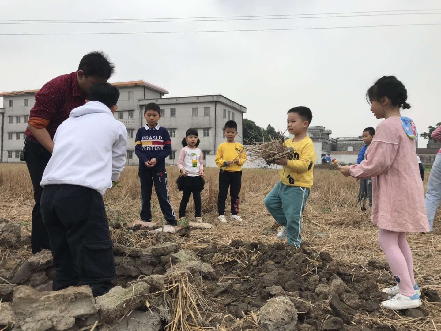 江门至道会跆拳道,开平苍龙跆拳道
