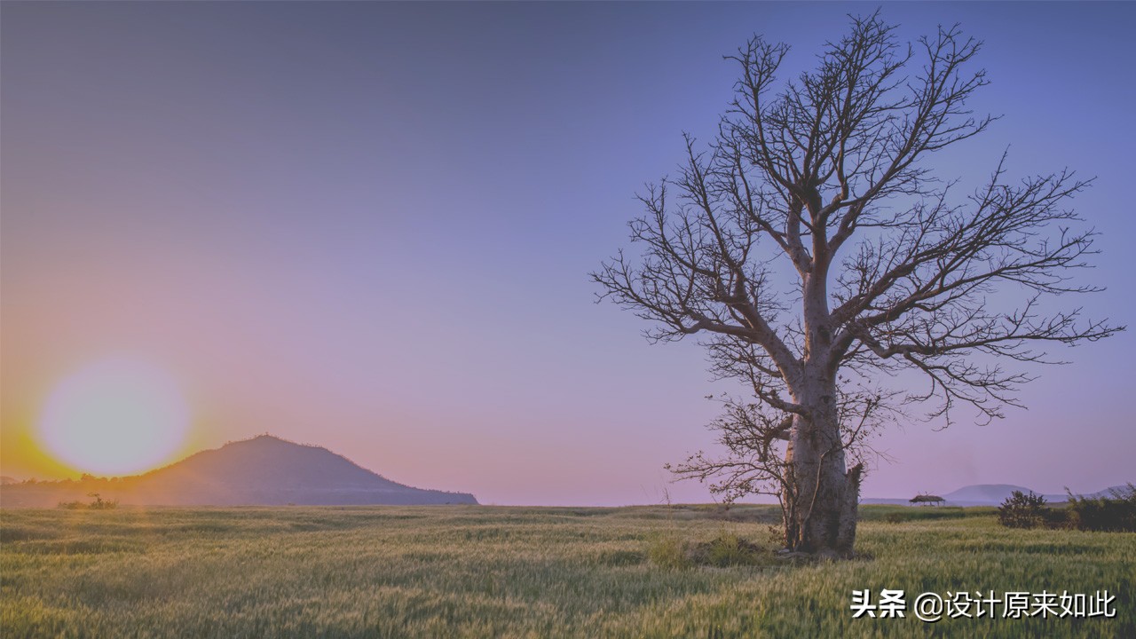 ps可选颜色与色阶调色的区别,ps怎么调色照片背景颜色