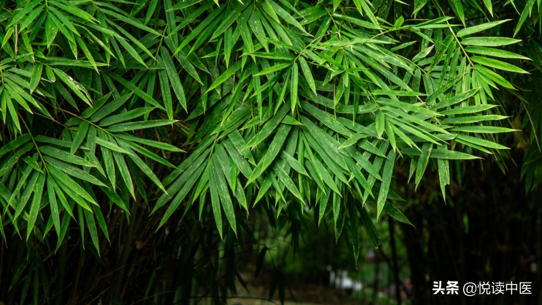 脾胃病施治的5大误区,脾胃病的自我治疗方法