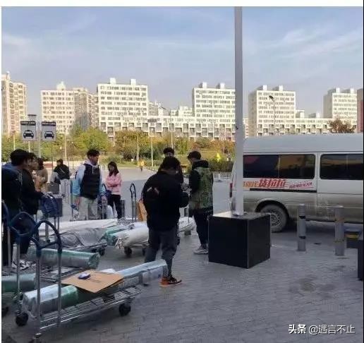 优衣库联名utt恤,优衣库联名彼得兔短袖