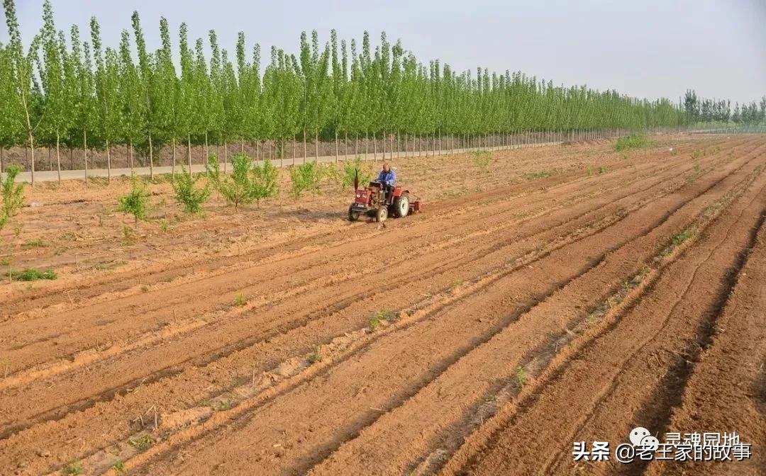土地招商基础知识,土地利用规划基本知识培训