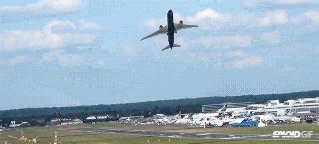 60个脑洞大开的真实照片，安装钛钢牙的军犬，拿破仑私人用的手枪