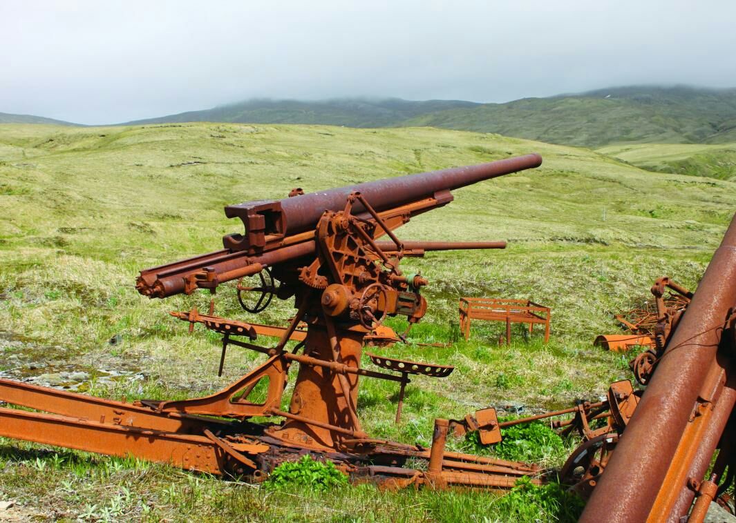 轮式自行式双管高射炮,日本96式25mm高射炮视频