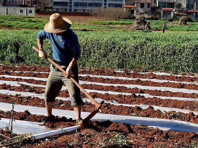 官方发布关于农村补贴的最新政策,农民又有哪5项补贴政策