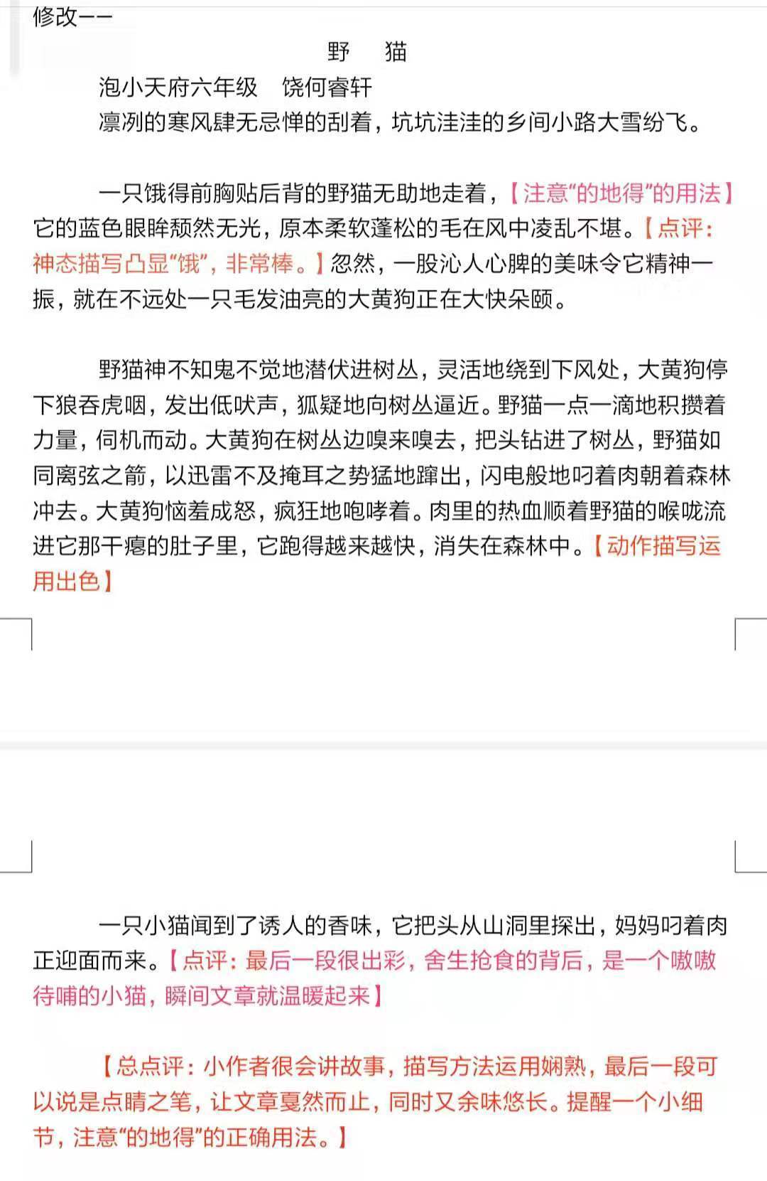 小记者课堂丨“中国动物小说大王”沈石溪：大胆模仿、大胆借鉴