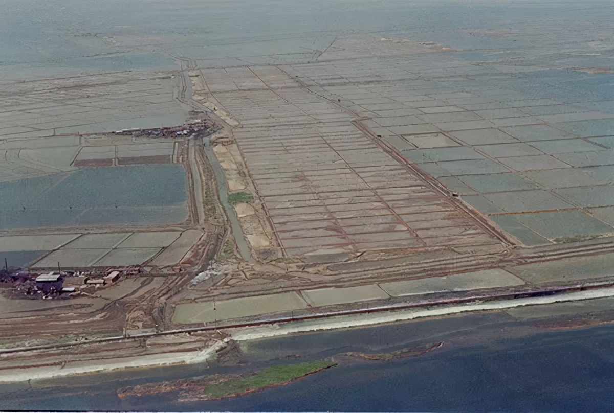 天津泰达没有比赛了吗,泰达论坛2022