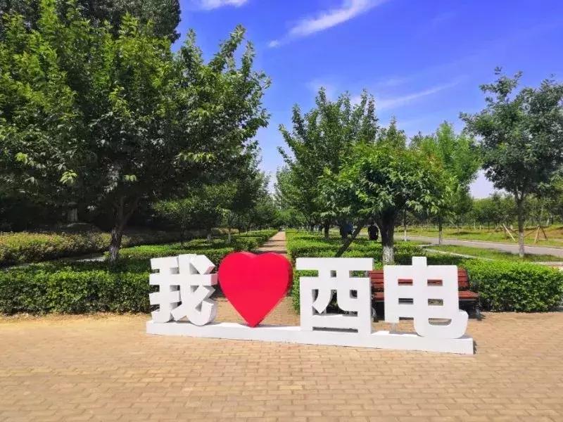 西安电子科技大学多厉害,西安电子科大在哪个区