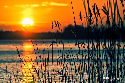 直通车运营本质有哪些,直通车拉搜索流量本质