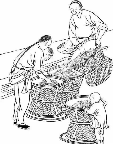 这份泡茶笔记值得收藏,武夷岩茶基本知识有哪些