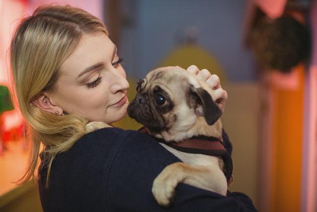 如果你有一只巴哥犬,那么不妨看看这篇文章,或许会收获许多