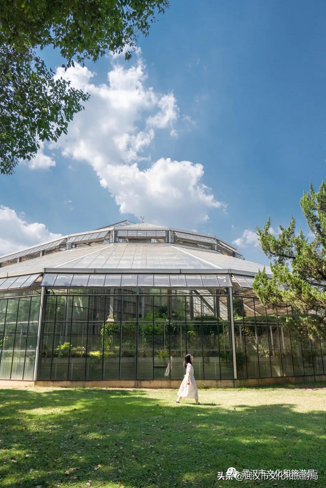 武汉中秋旅游攻略,武汉中秋节适合游玩的地方