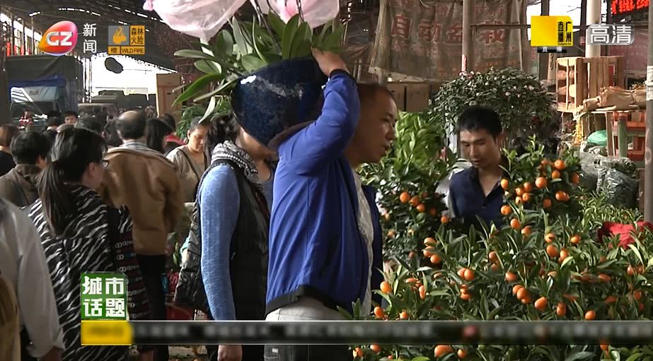 广州将举办迎春花市持续时间,广州迎春花市预约