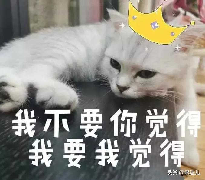 2019十大流行语公布哪个你最常用,盘点2019网络十大流行梗爆笑神曲