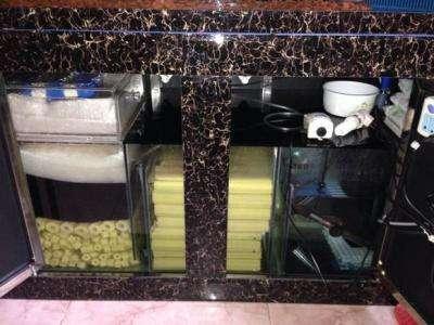 鱼缸生化棉可以不放吗,鱼缸用生化棉好还是滤材好