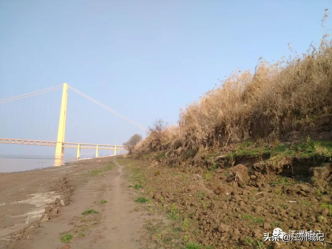 芳草萋萋汉水边,杨泗港大桥江滩公园网红打卡地