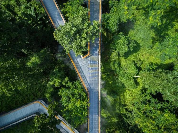 不离深,深圳高颜值绿道推荐一日游正好