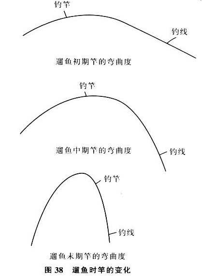 钓鱼提竿刺鱼和溜鱼技巧,钓到大鱼怎样正确提竿溜鱼