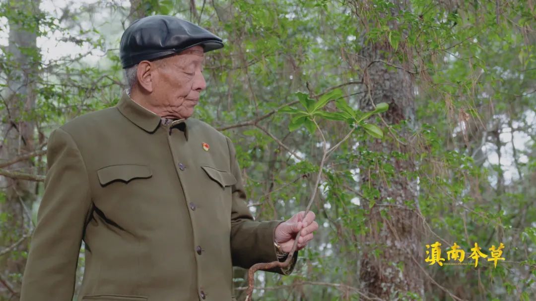 人有些啥病,民间神奇彝医真实故事