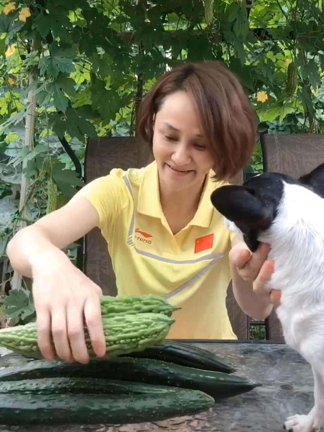 中国跳水梦之队郭晶晶陈若琳,郭晶晶吴敏霞退役视频