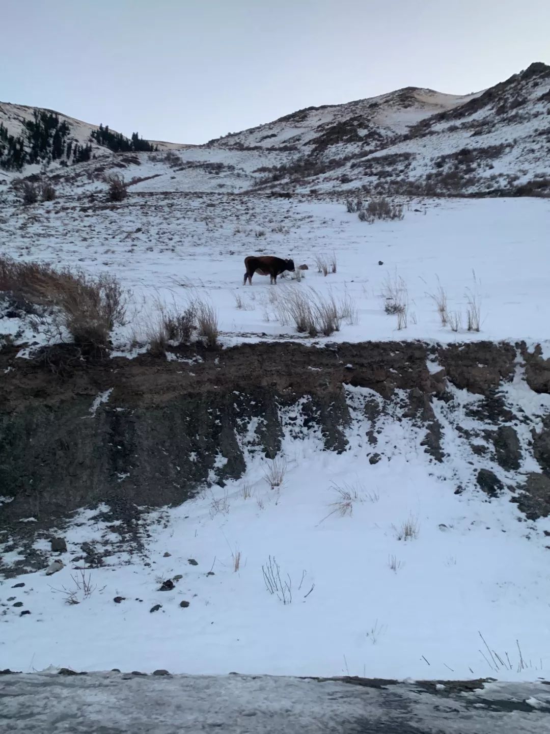*疆新**早餐美|三步一娜扎，五步一热巴