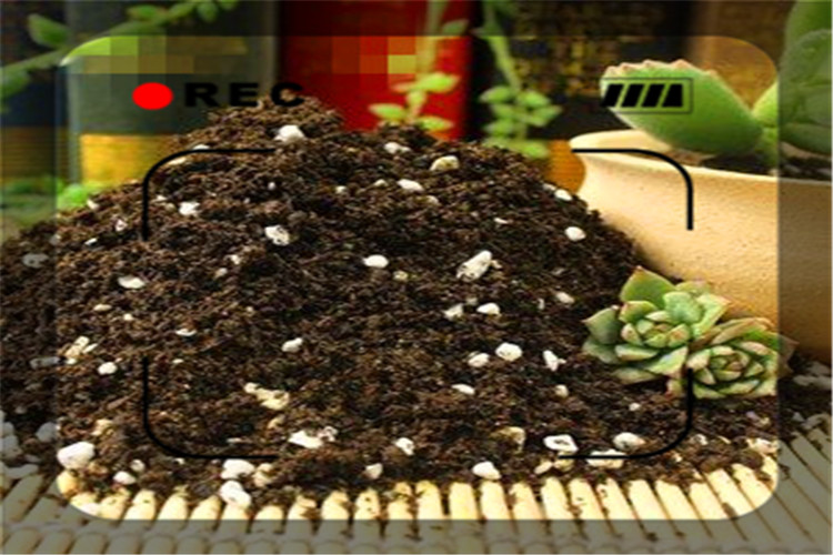 20万可以开办哪些有前景的加工厂,开一家什么小加工厂投资小见效快