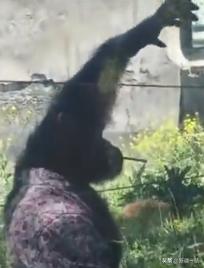 老城回忆乌鲁木齐,乌鲁木齐值得回忆的地方