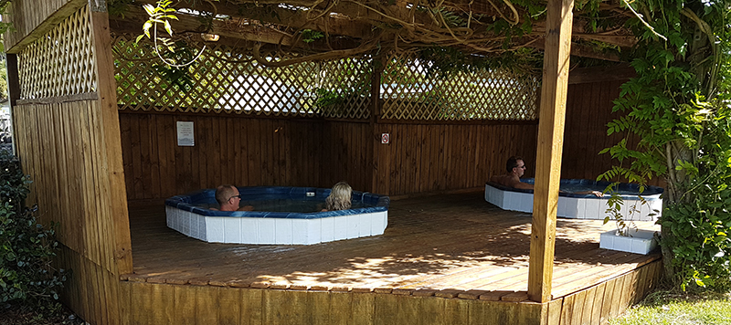 世界真奇妙大自然,新西兰自然主义公园