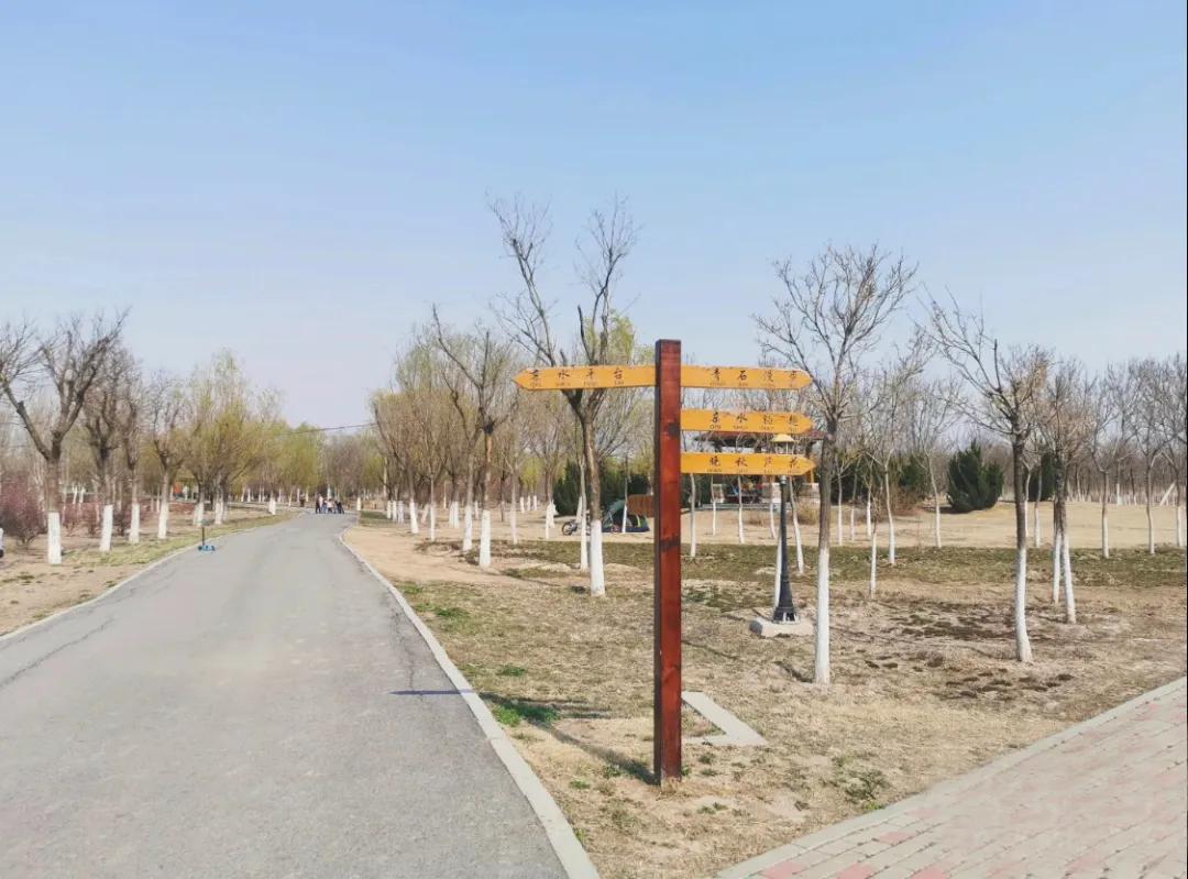 一个不出郑州的踏青好去处,天津春游公园推荐