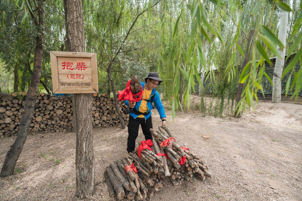 她是滔滔千里黄河的宠儿,阴山之下、河套之上的掌上明珠
