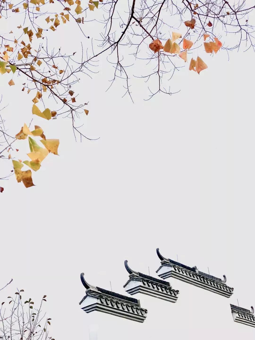 赞别人拍的照片,你用手机拍过哪些最美的照片