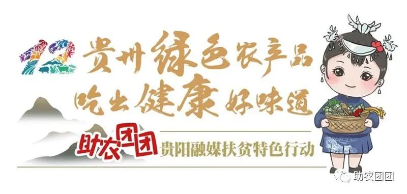 助农团团最新视频,助农团团印江