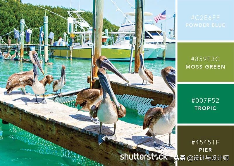 设计色彩总结200字左右,设计配色6种颜色